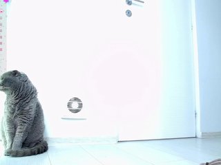 Chat video erotica AfroditaAmy