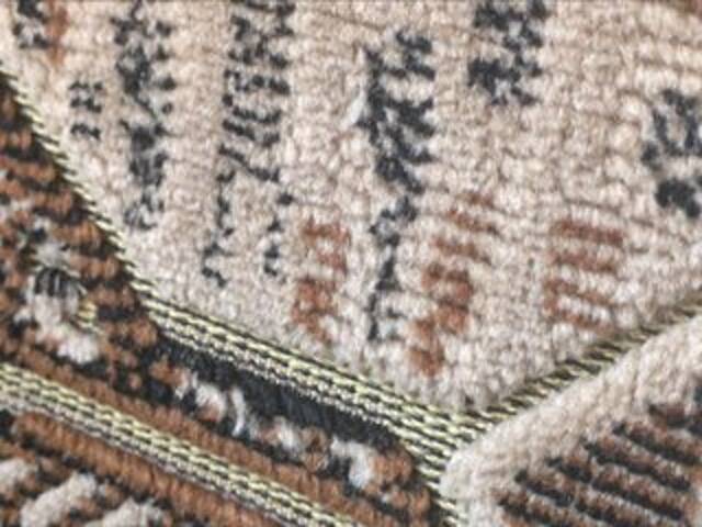 Screenshot di trasmissione Aktrissa007