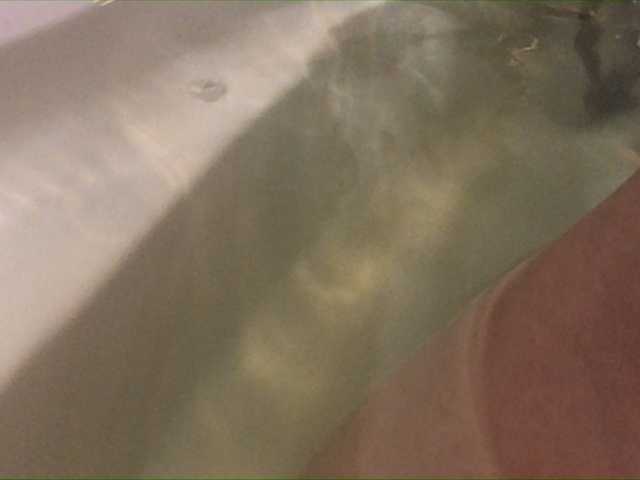 Screenshot di trasmissione Alianakiss