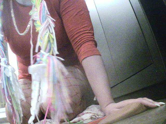 Screenshot di trasmissione Alice4U