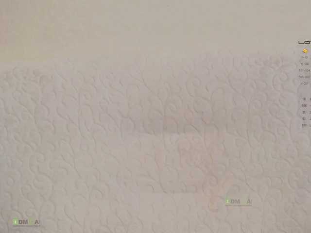 Screenshot di trasmissione _ALICE_