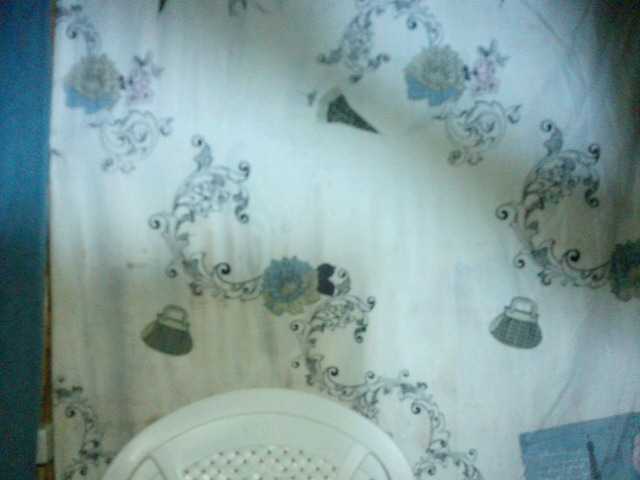 Screenshot di trasmissione Alicia7