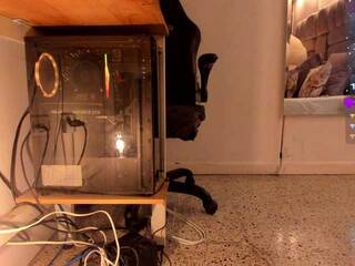 Chat video erotica amina-west