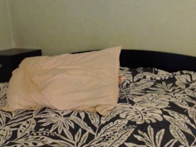 Screenshot di trasmissione Alissia_Kiss