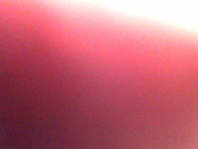 Screenshot di trasmissione anawild4you