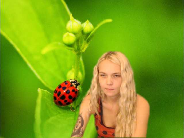 Fotografie AnnaHappy18 ...the story of the lonely ladybug.