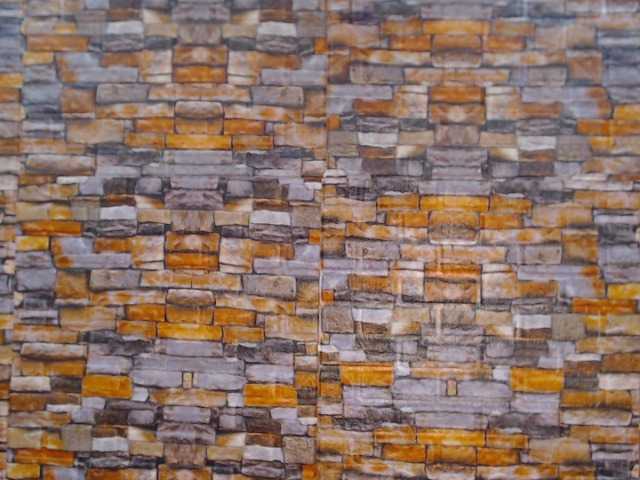 Screenshot di trasmissione anthonella-1