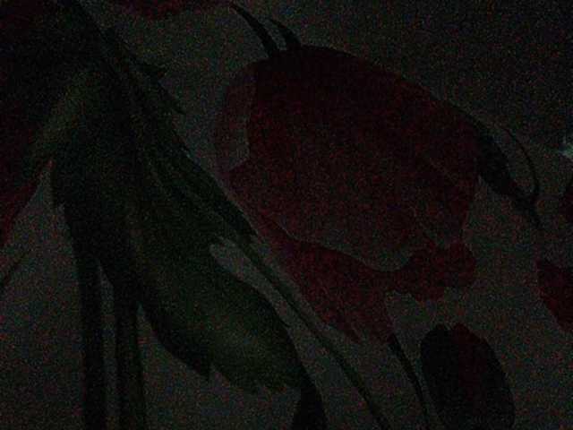 Screenshot di trasmissione Rosalia_____