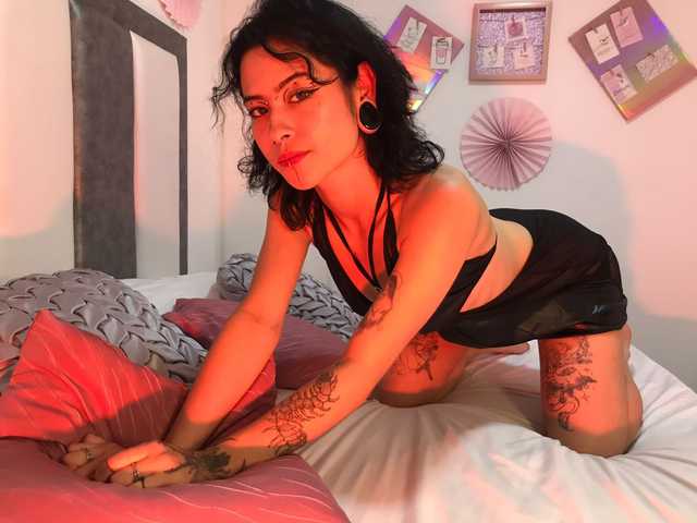 Foto del profilo Aryrouse