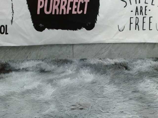 Screenshot di trasmissione Asian-girll