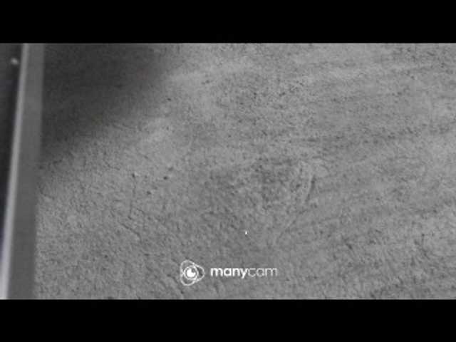 Screenshot di trasmissione AsianGrace