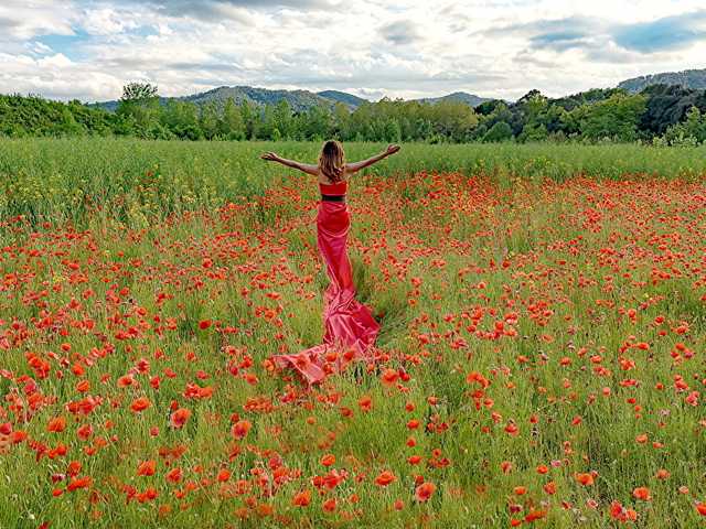 Foto profilo bella-cullenn