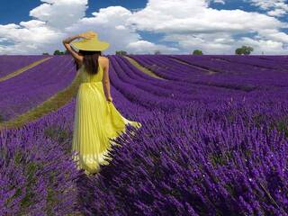 Chat video erotica chubilicious