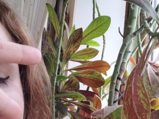 Chat video erotica Crazycouple8