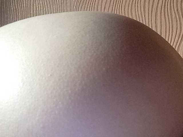 Screenshot di trasmissione Darinaray777