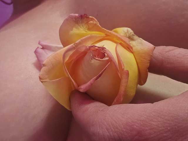 Foto del profilo Delicious-Dahlia