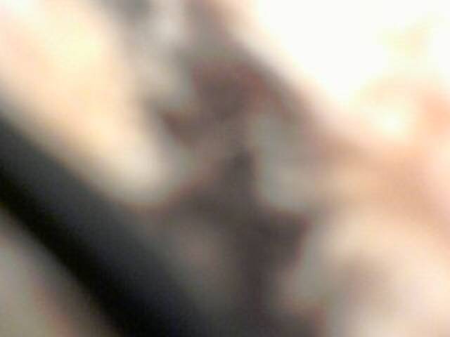 Screenshot di trasmissione DIMIYRIA