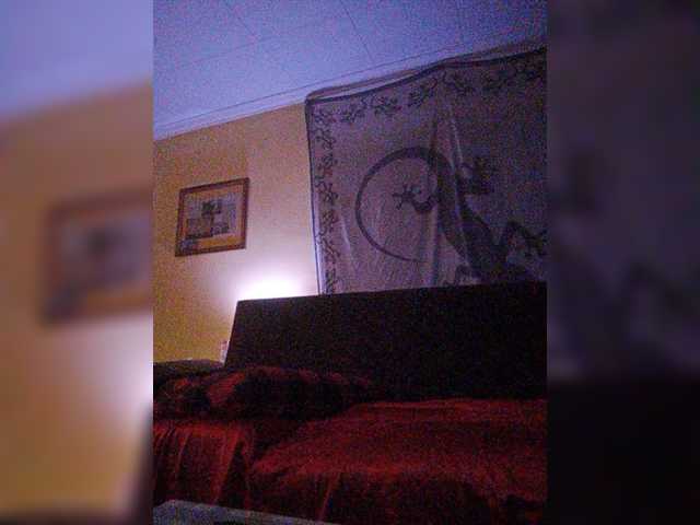 Screenshot di trasmissione Doggysx