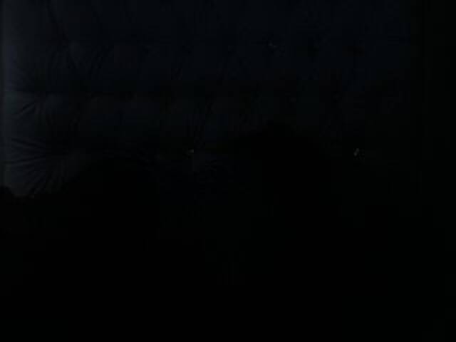 Screenshot di trasmissione DolcePinkPuss