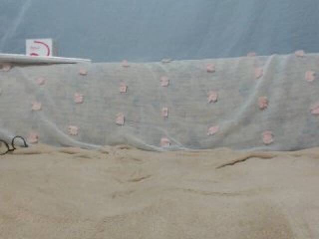 Screenshot di trasmissione DonnaWildJoyy