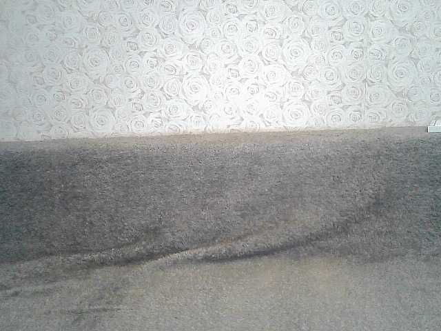 Screenshot di trasmissione ElegantBlonda