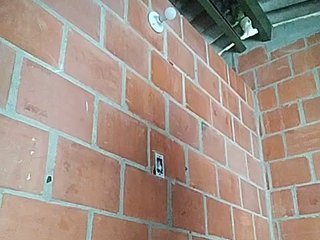 Chat video erotica EmiliAddams