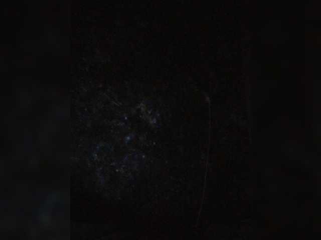 Screenshot di trasmissione -MiniMartini-