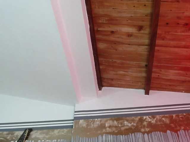 Screenshot di trasmissione flexylive