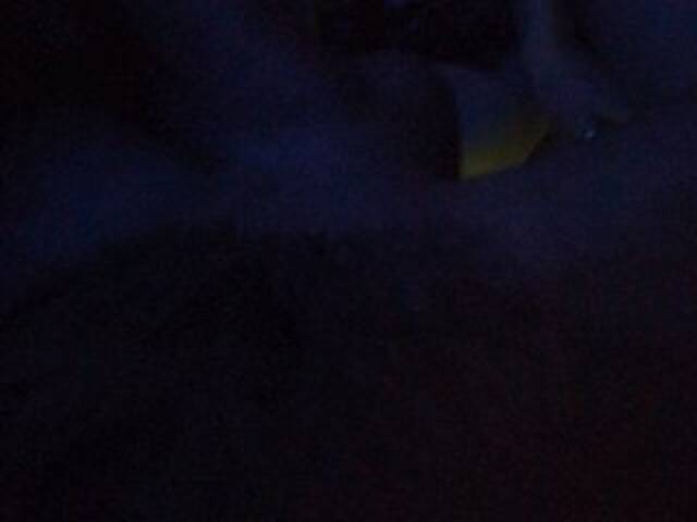 Screenshot di trasmissione HADbKA