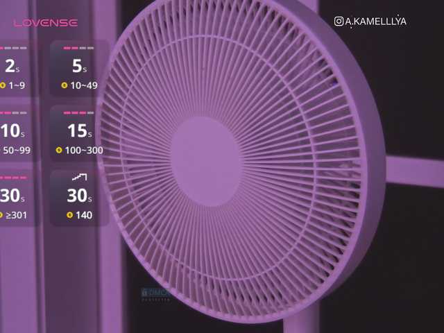 Screenshot di trasmissione Kamelllya