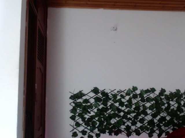 Screenshot di trasmissione Keilly-