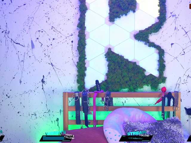 Screenshot di trasmissione Kittygy
