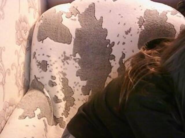 Screenshot di trasmissione KOBRA-X