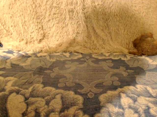 Screenshot di trasmissione La-lla