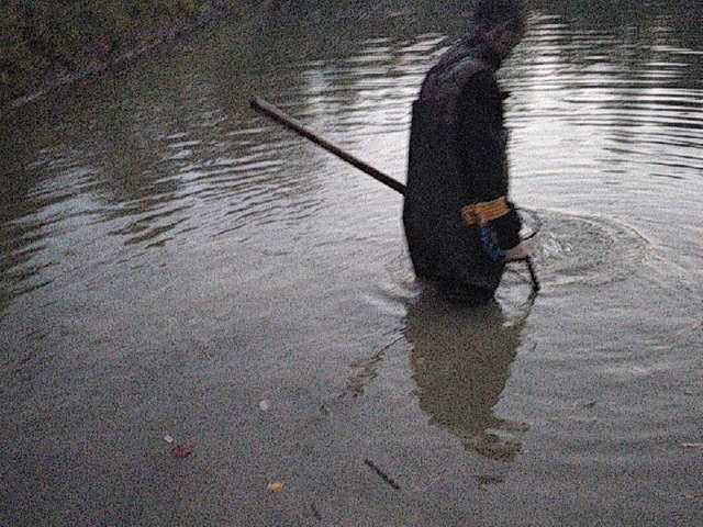 Screenshot di trasmissione lanalanina