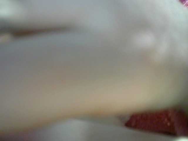 Screenshot di trasmissione t_w_i_n_k_l_e