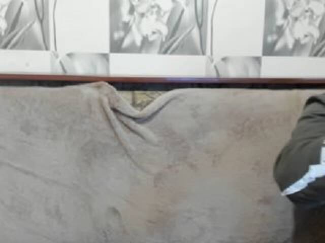 Screenshot di trasmissione sexyit09