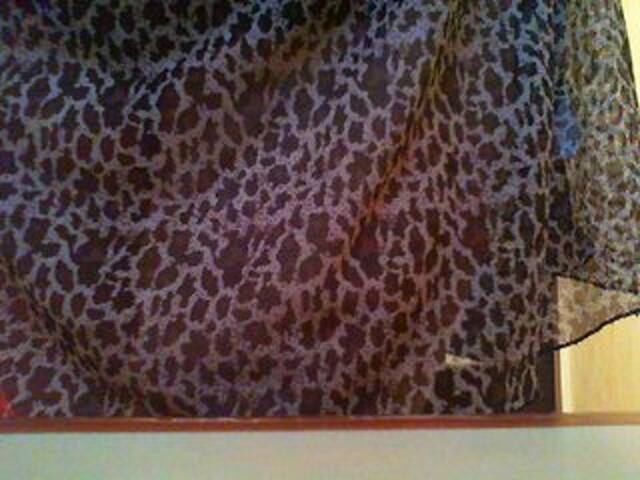 Screenshot di trasmissione Alena209