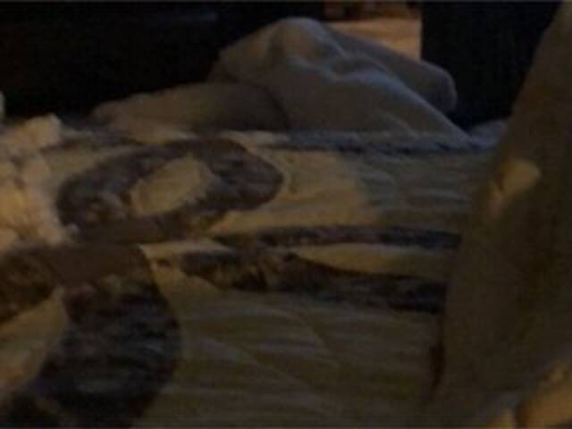 Screenshot di trasmissione Littleshorty