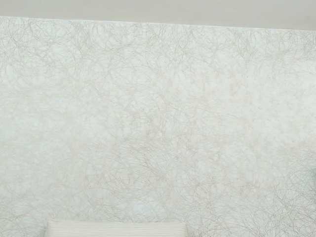 Screenshot di trasmissione LuisaTrujillo