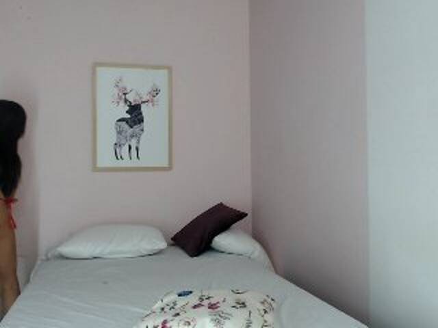 Screenshot di trasmissione mariaems