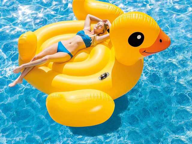 Foto del profilo Mona-Lisa