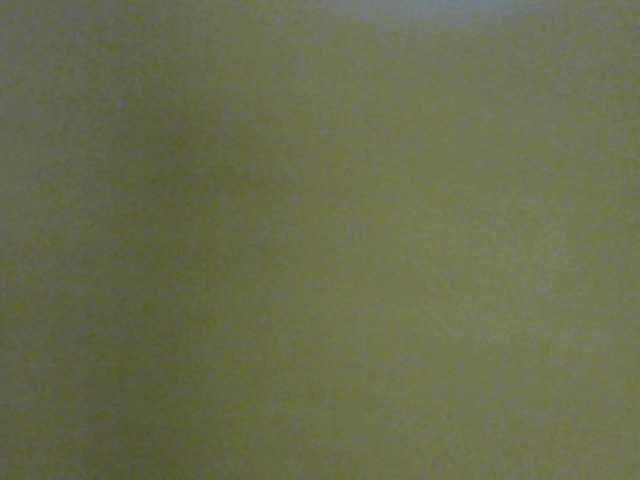 Screenshot di trasmissione payel20