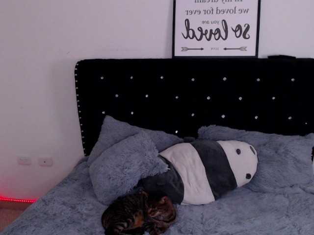 Screenshot di trasmissione pervertlykloe