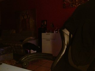 Chat video erotica Petitoiseaucoquine