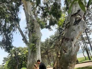 Chat video erotica PUPI-DEL-REY