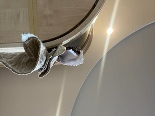 Chat video erotica Pussynajussy