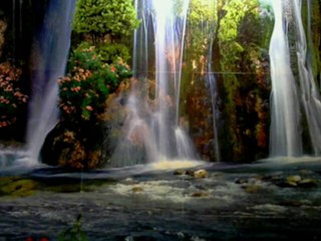 Screenshot di trasmissione regiha