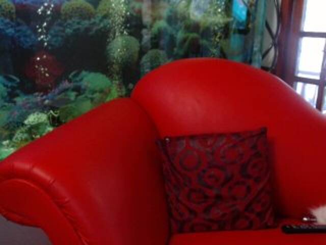 Screenshot di trasmissione RoxanneFox