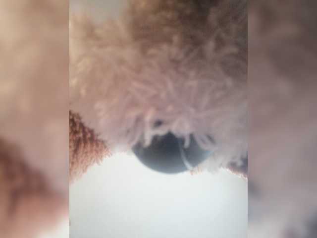 Screenshot di trasmissione SashaLebedi